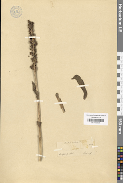 LE 01029225