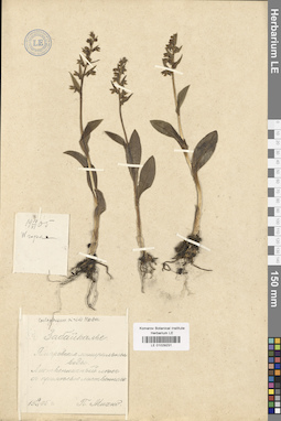 LE 01029231