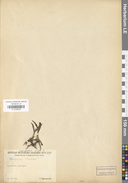 LE 01029235