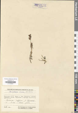 LE 01029240