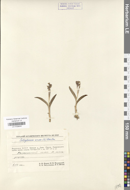 LE 01029243