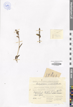 LE 01029252