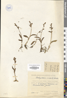 LE 01029253