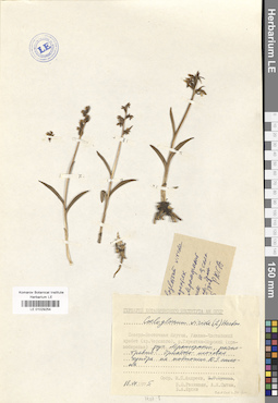 LE 01029254
