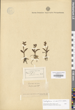 LE 01029255