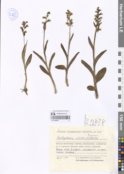 LE 01086997