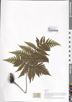 LE 01254966