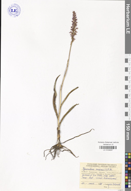 LE 01029257