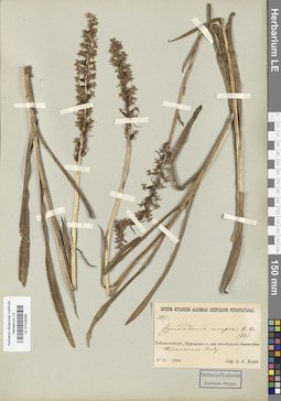LE 01029264