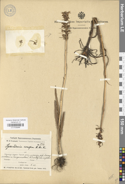 LE 01029265