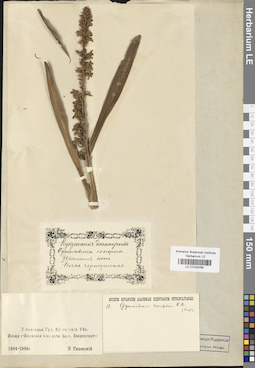 LE 01029266
