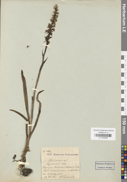 LE 01029268