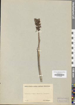LE 01029269
