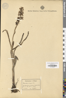 LE 01029270