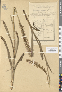 LE 01029271