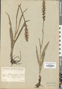 LE 01029272