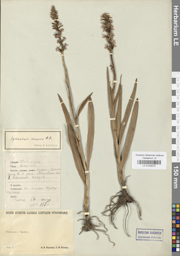 LE 01029273