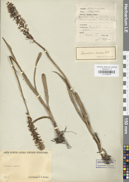 LE 01029274