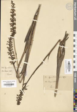 LE 01029277