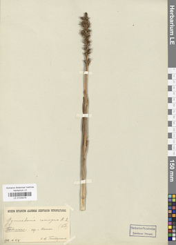 LE 01029279