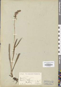 LE 01029284