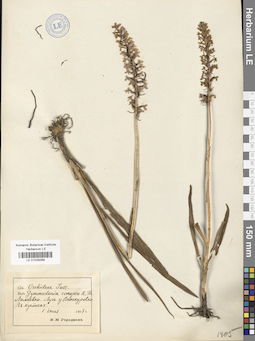 LE 01029289