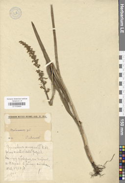 LE 01029291