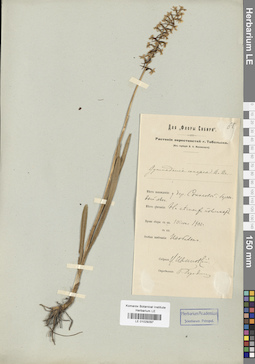 LE 01029297