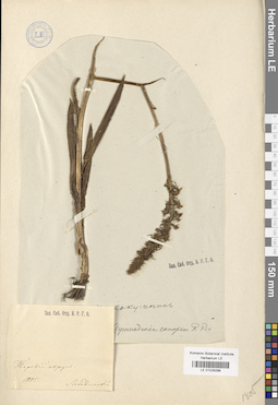 LE 01029298
