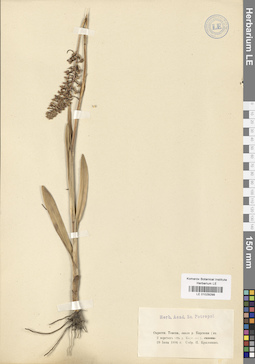 LE 01029299
