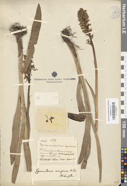LE 01029301