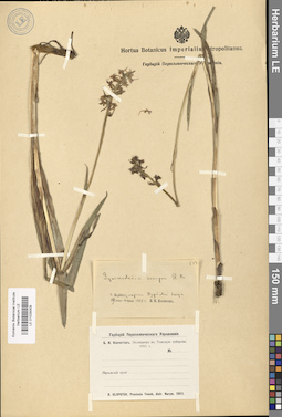 LE 01029309