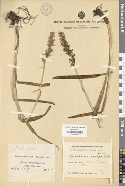 LE 01029311