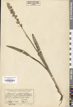 LE 01029316