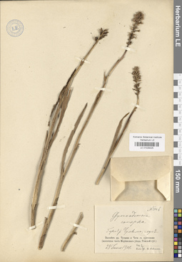 LE 01029325