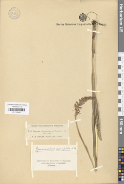 LE 01029327