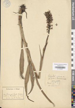 LE 01029337