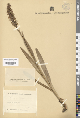 LE 01029344