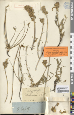 LE 01193202