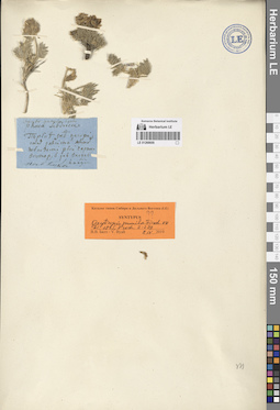 LE 01268609