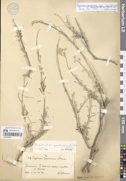 LE 01274625