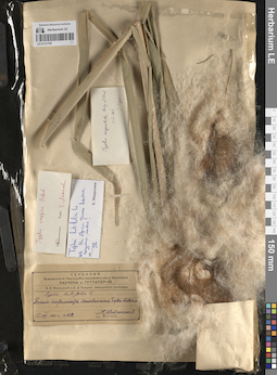 LE 01121755