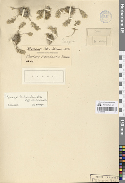 LE 01274779