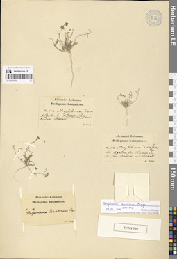LE 01274782