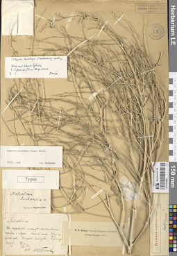 LE 01274805