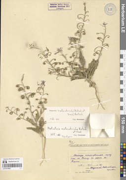 LE 01274828