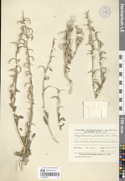 LE 01274901