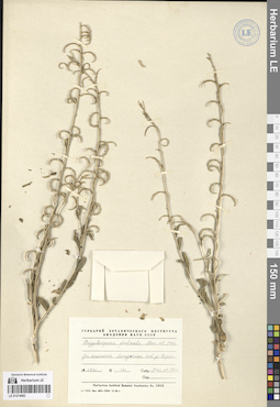 LE 01274902