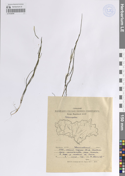 LE 01228390