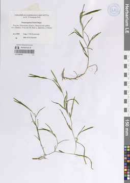 LE 01268182